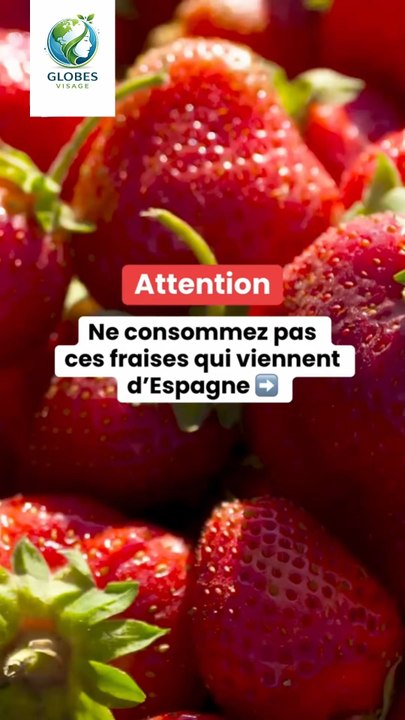 Actualité