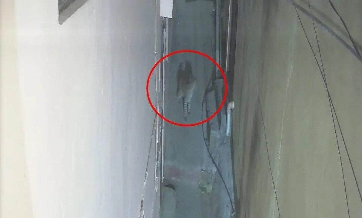 अलवर के रिहायशी इलाके में दिखा लेपर्ड, CCTV में...
