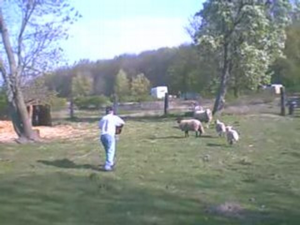 Ton i in Boltenhagen