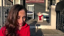 amymcgorrynews