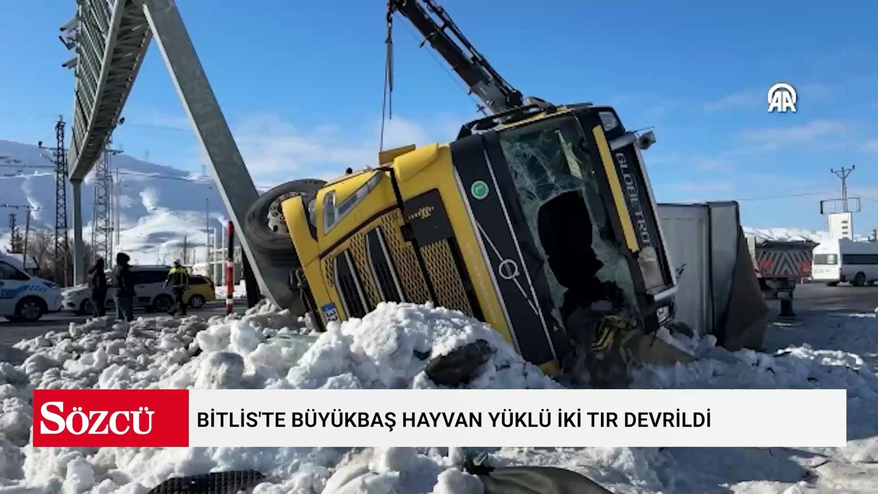Bitlis'te büyükbaş hayvan yüklü iki tır devrildi