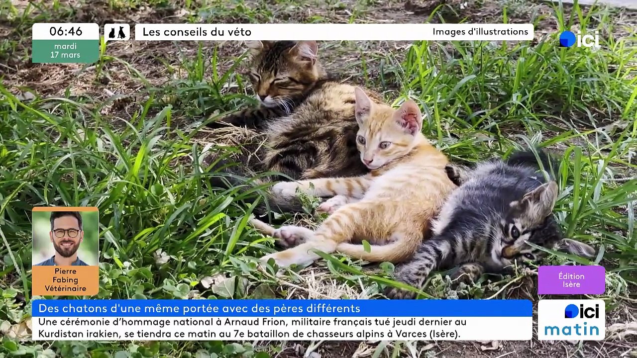 17/03/2026 - ici matin par ici Isère en vidéo