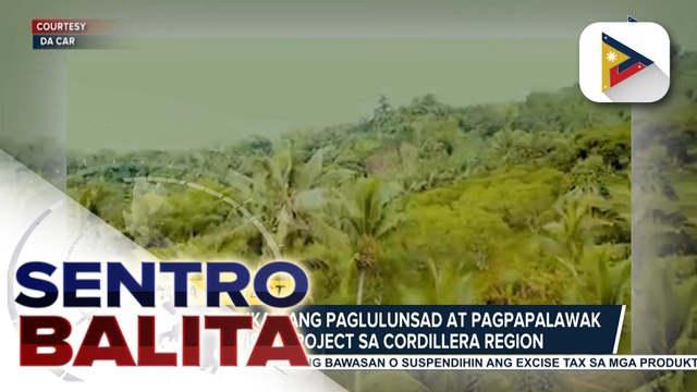 DAR, tututukan ang paglulunsad at pagpapalawak ng Vista Project sa Cordillera Region para mapataas ang produksyon ng kape at cacao | ulat ni Christine Bornolla-Sabaway - PTV Cordillera