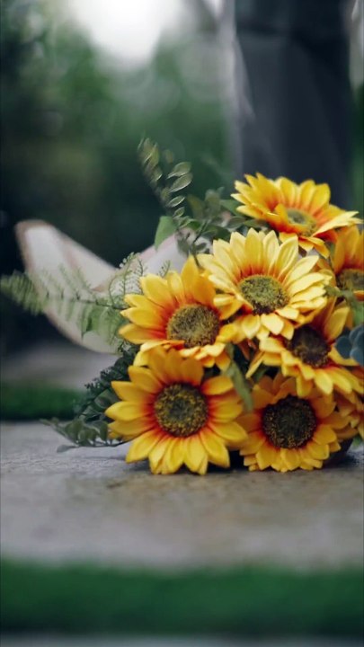 The Oscar Winner Is My Ex shortical