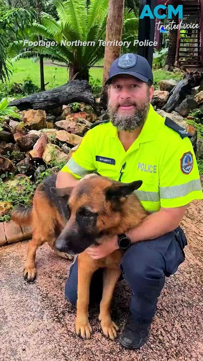 Northern Territory cop reunited with dog rescued from floodwaters