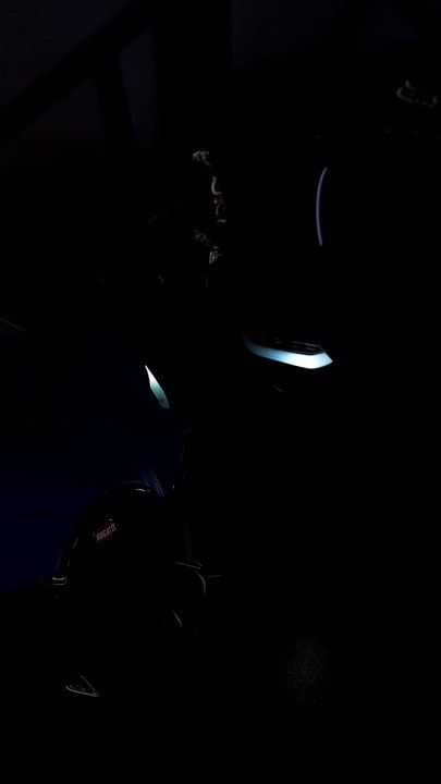 The elegant curves of masterpieces