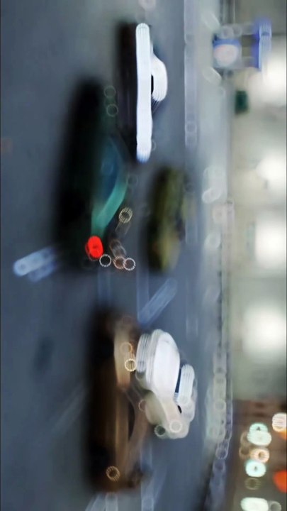 The elegant curves of masterpieces