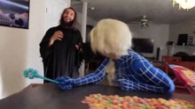 Frozen Elsa vs Venom vs Joker vs Blue Spiderman & Scream - Food Fight Real Life Superhero Movie