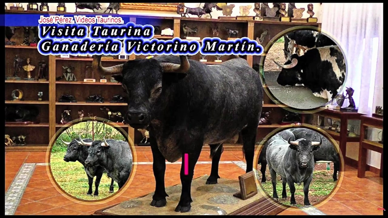 Visita Ganadería Victorino Martin.