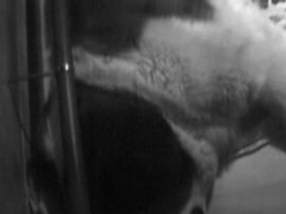 CLIP0468