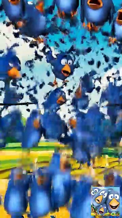 The Great Bird Crash 💥 Talking Birds On A Wire Game
