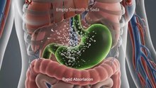 What Happens When You Drink Soda On An Empty Stomach 3D Animation