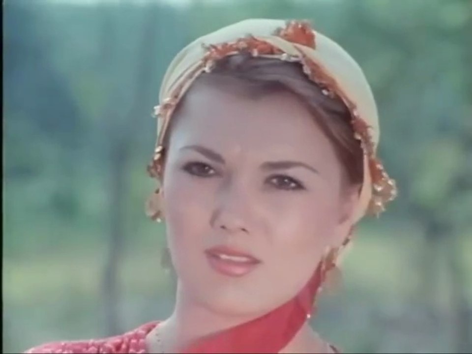 Kader Arkadaşı 1981 Cüneyt Arkın VHS Türk Film