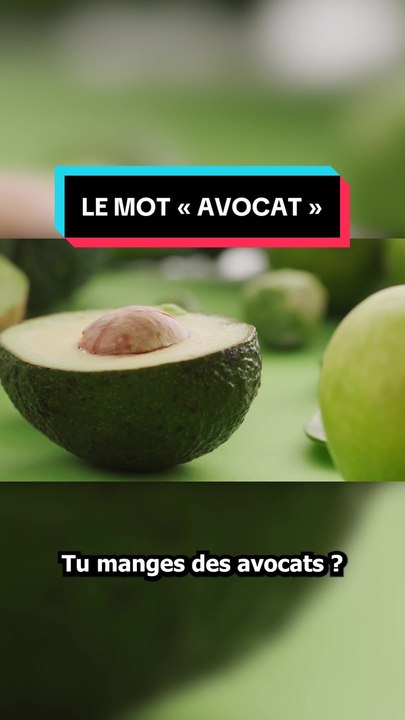 Le mot "avocat"