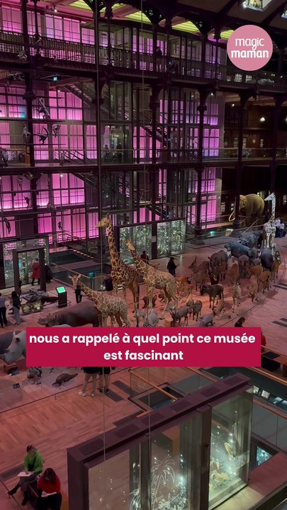 Quand Merveilles du Monde s’invite au Muséum d’histoire naturelle : découverte des nouvelles tablettes de chocolat
