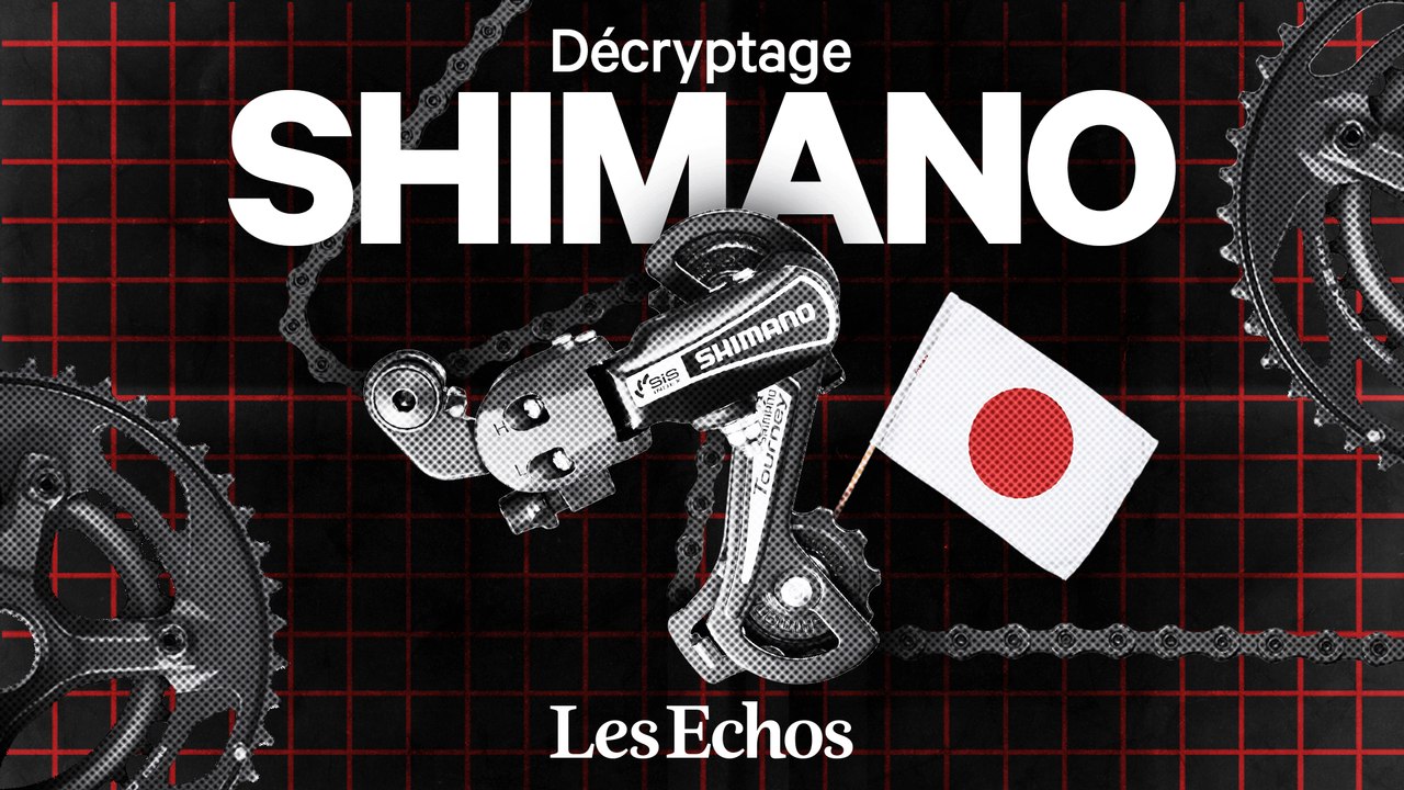 Pourquoi 2 vélos sur 3 dépendent de cette entreprise japonaise