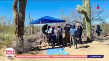 Madres buscadoras localizan fosas clandestinas en el desierto de Sonora | DPC con Paola Rojas