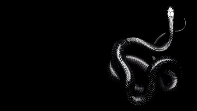 SOEN - DECEIVER (LYRIC VIDEO PERFORMED BY JEFF LUPUS)
