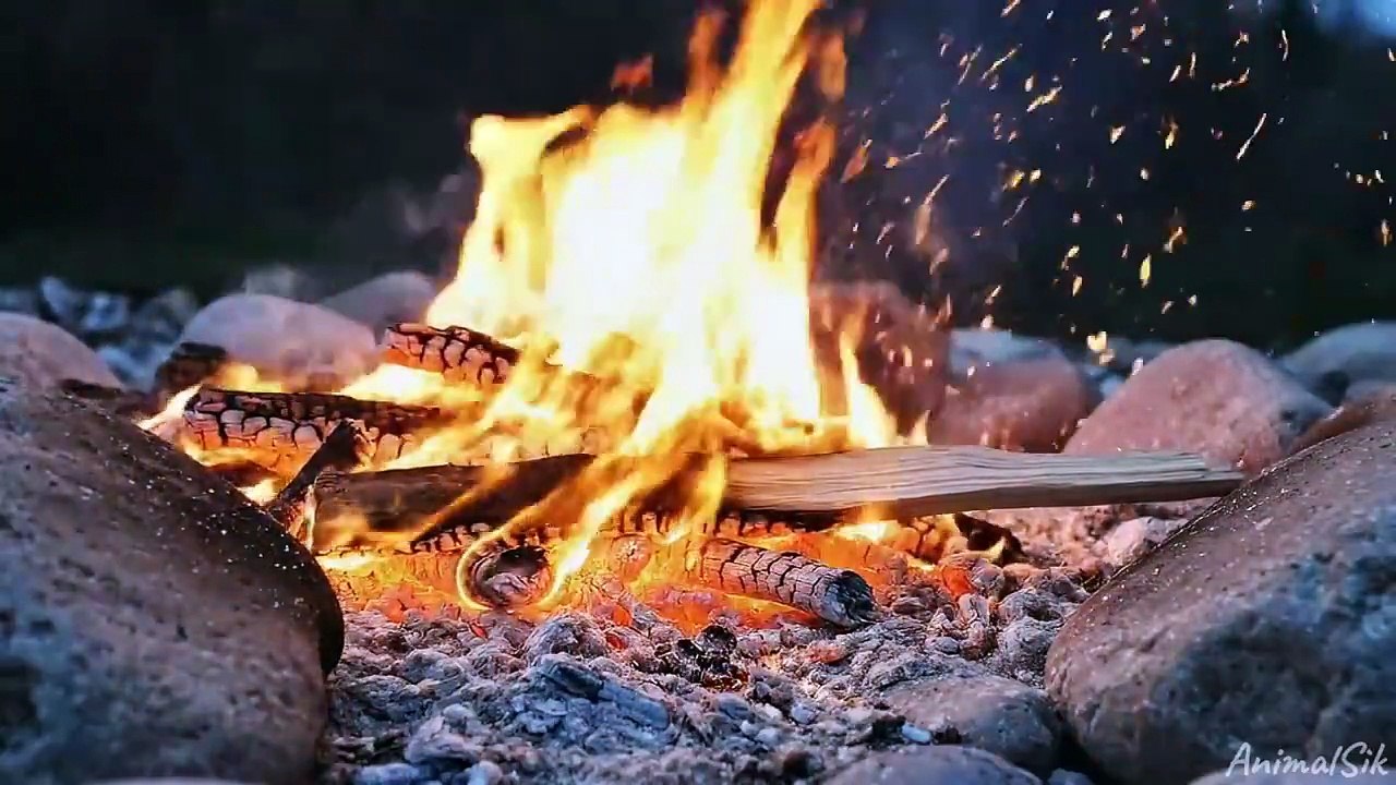 How Native Americans Survived –71°C Winters _ Ancient Survival Secrets of the North