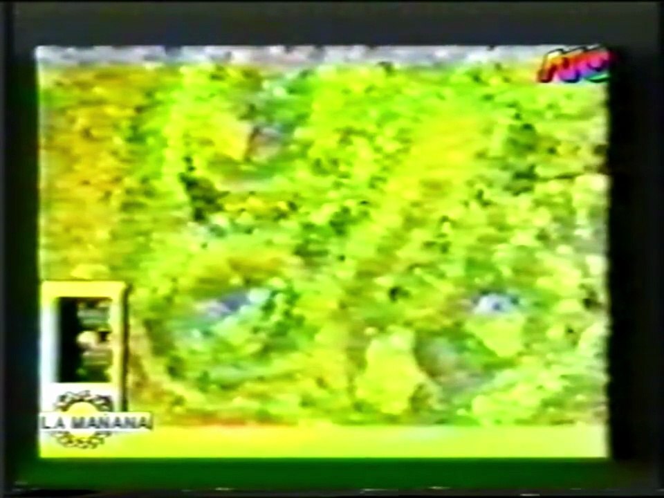 Panel OVNI sobre el caso Bariloche - La Mañana (Canal ATC, 03-08-95)