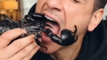 ​I Can’t Believe I Just Ate That... 🤮🦂