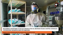 Biofábrica aportará la escala al bioinsecticida contra hormigas cortadoras desarrollado en Inbiomis