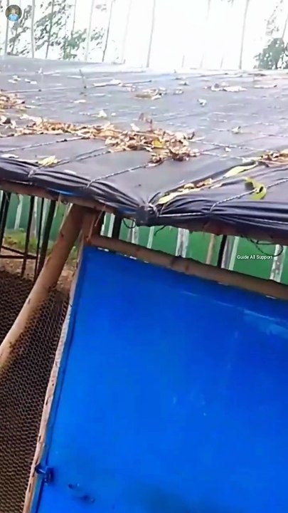 Poultry farm Chhat ka tirpal | poultry farm business plan | low cost poultry farm shade