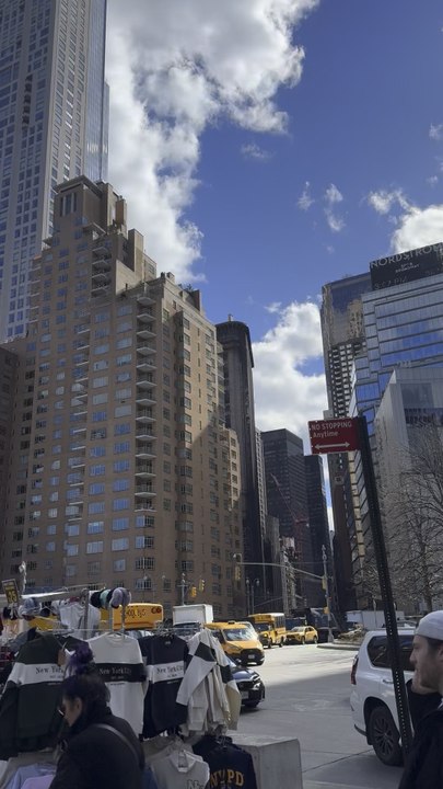 Nelson Wang visited the southern part of Central Park on March 17, 2026.