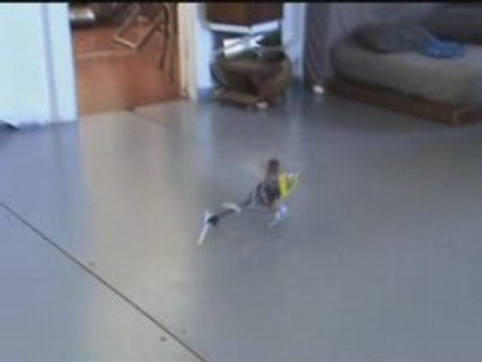 Bricolas6 Concours TUNING Heli4.com Wasp V3