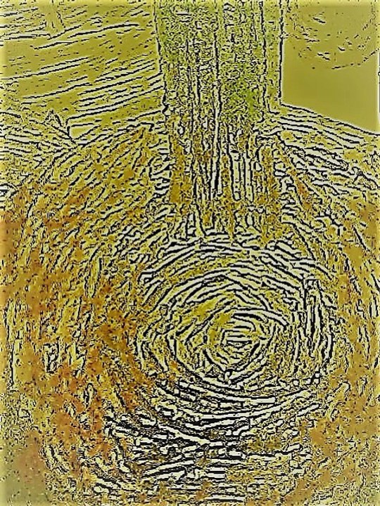 Domenico Scarlatti : Sonata K34 (Guitalele : Klaus Breuer)