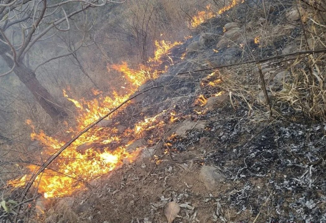 आग की खबर