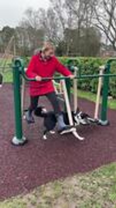 Playful Dog Keeps Walking Through Woman's Legs as She Stretches