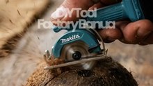 Mini Circular Saw Cutting Coconut Shell #diy  #minitools #satisfying #miniature  #shorts