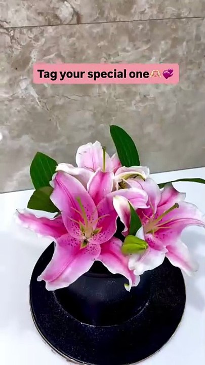 Midnight Bloom: Elegance in Pink & Black
