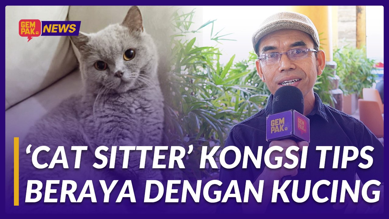 #GempakVideoNews : Kucing Nak Tinggal Mana Kalau Cat Hotel Dah Penuh? Ini Tip Dari ‘Pak Cik Cat Sitter’