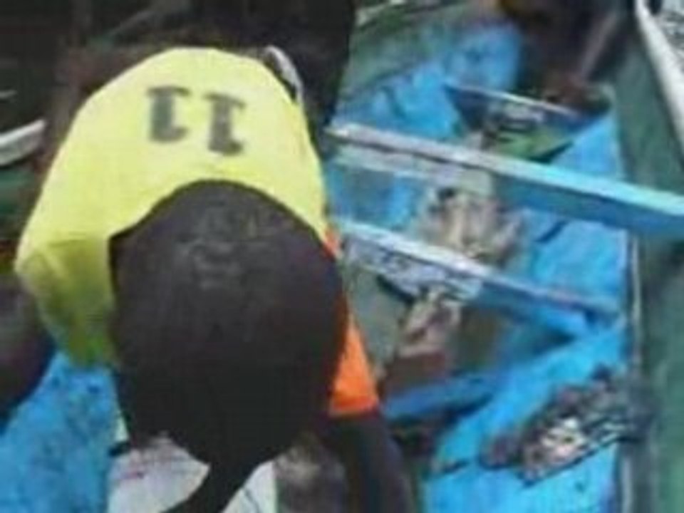 Paris-Dakar 2002: iles du Saloum en pirogue