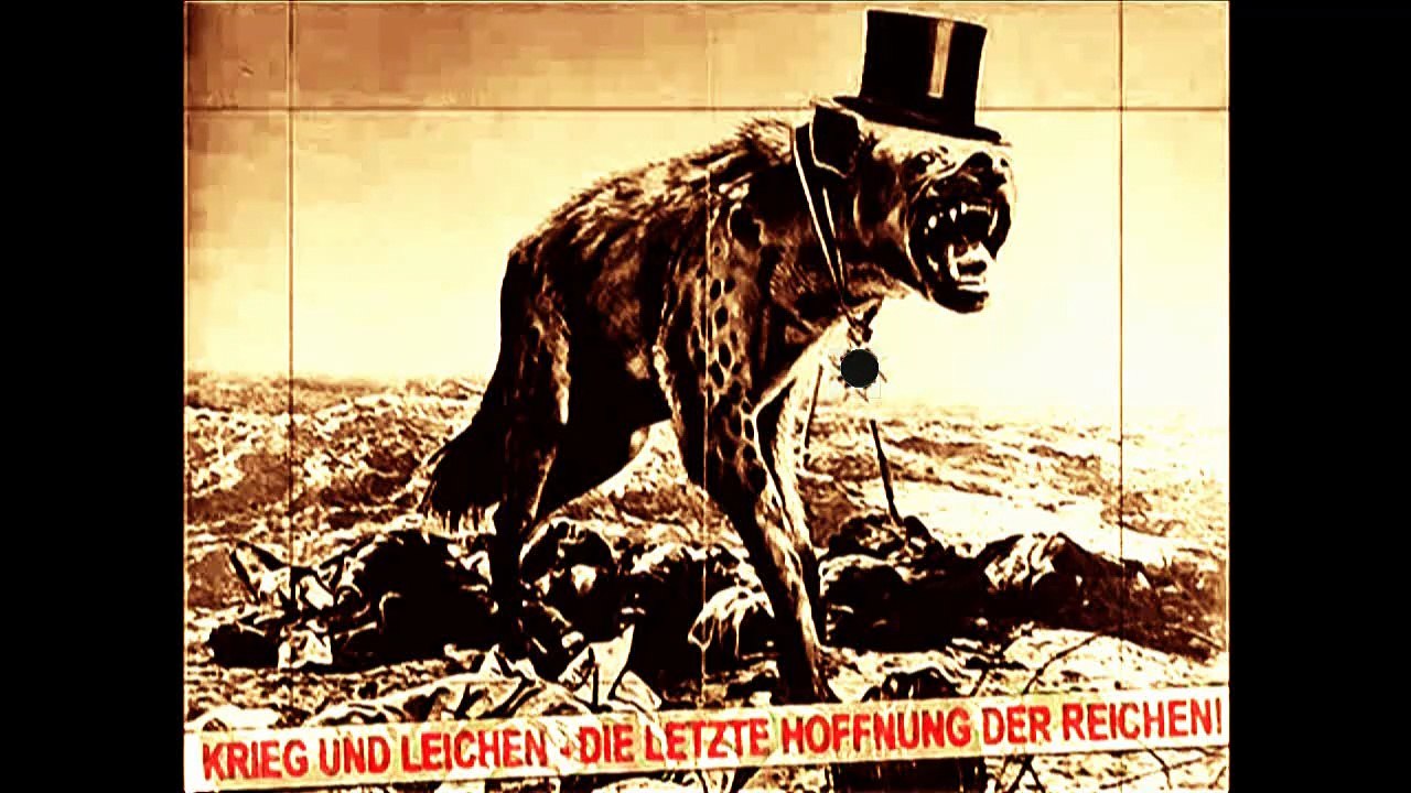 7846     Krissy Reger Tucker Carlson  Andreea