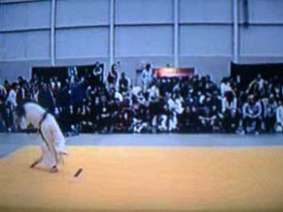 Judo Ippon en 15 secondes