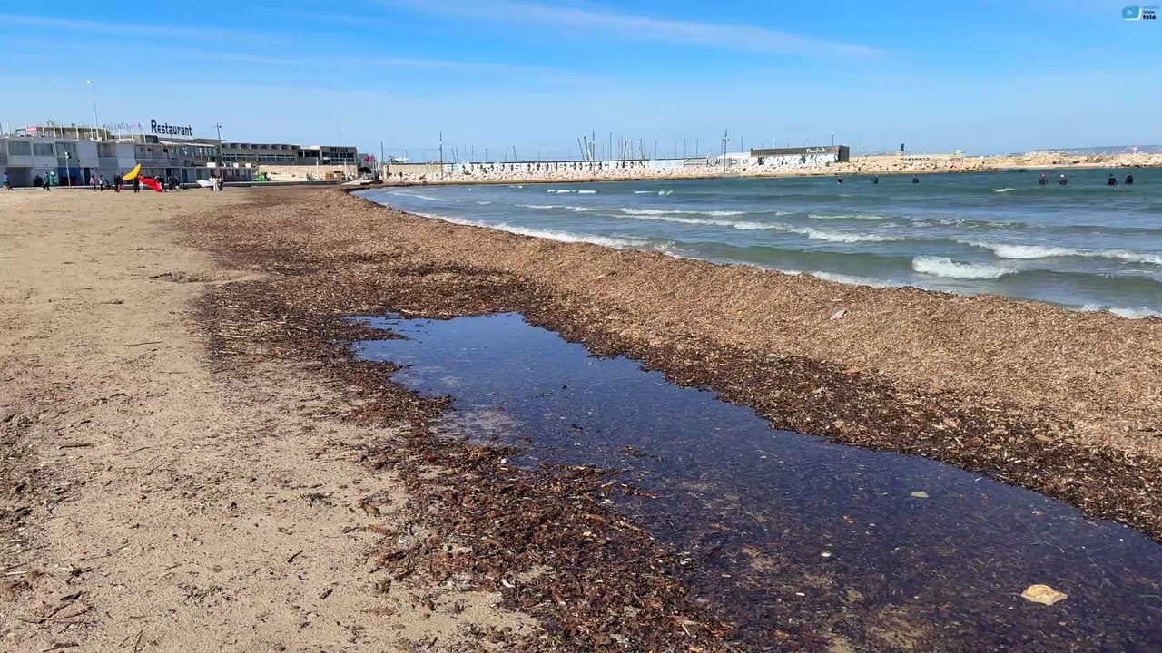 Marseille  | La Plage de la Pointe Rouge | Mars...