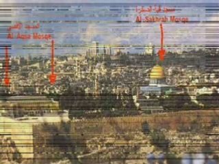 avis a tous les musulmans!!