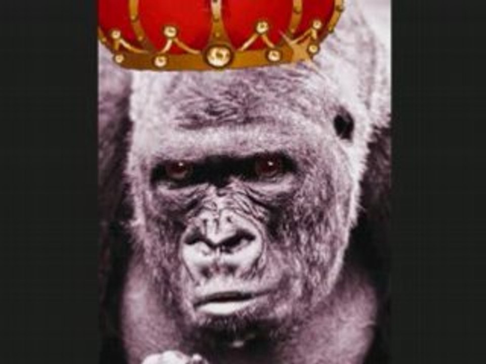 RADIO BON ANNIVERSAIRE MON GARS