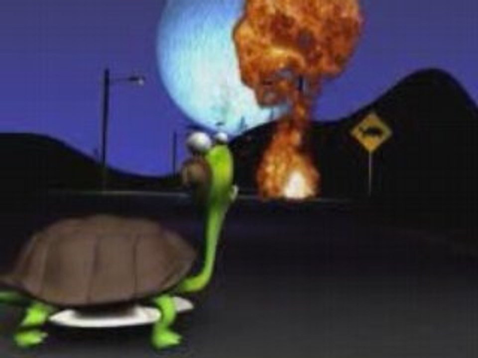 Roadkill_turtle