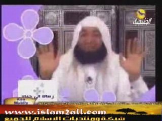 الحجاب محمود المصري