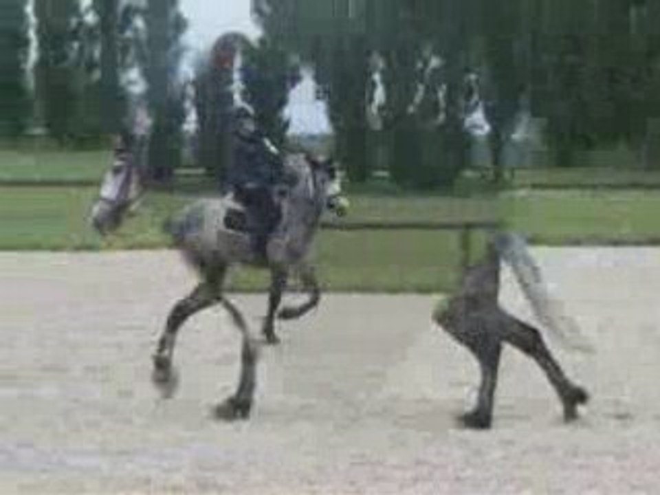 SansTitre_0001