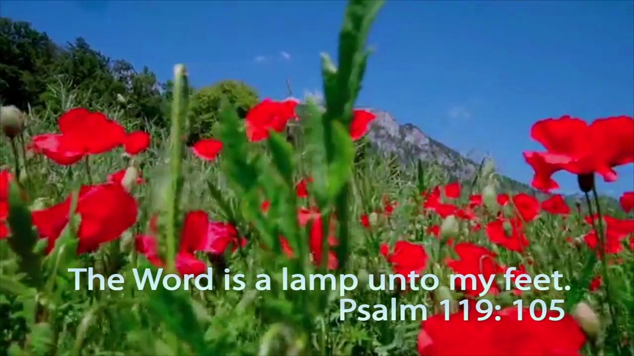 Let God Carry What You Can Not Resolve