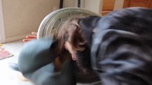 Wonder Woman vs Rhino vs Spiderman - Real Life Superhero Movie