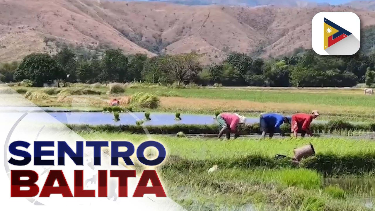 Ilang magsasaka sa Dagupan City, ikinatuwa ang nakatakdang pamamahagi ng fuel subsidy ng pamahalaan; LGU at City Agriculture Office, handa sa pamamahagi ng ayuda | ulat ni Ricky Casipit - Radyo Pilipinas Dagupan