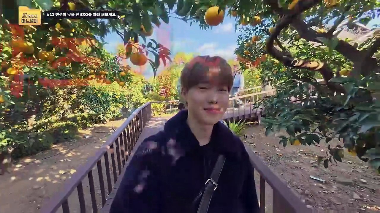 텐션 올려! 왁자지껄한 EXO의 단체 사진 촬영 비하인드📸 ❮엑사세5❯ 하드털이 #11