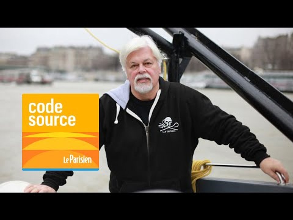 [PODCAST] Paul Watson, le « pirate » défenseur des baleines