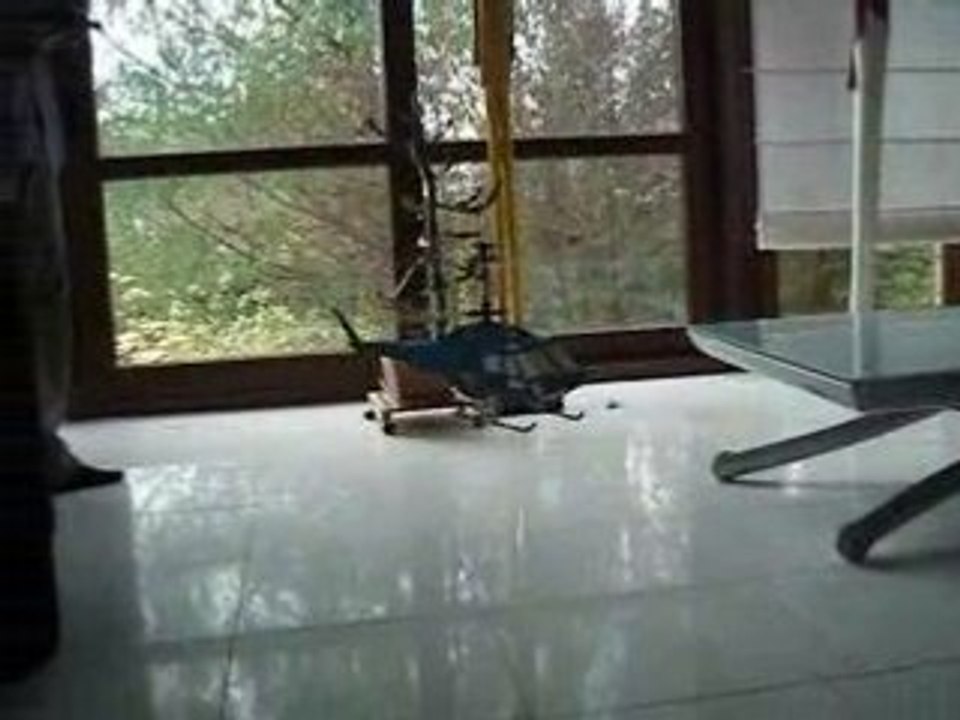 Colletjb Concours TUNING Heli4.com 2008 Lama Xtreme